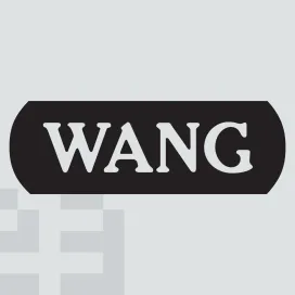 Wang Computers